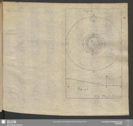 Fig. Phys. Tab. VII