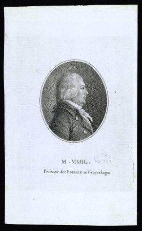 Vahl, Martin