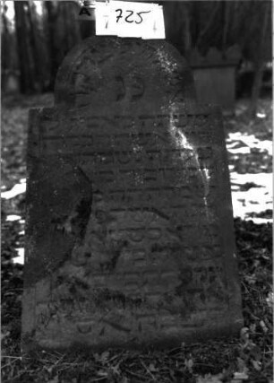 Grabstein 725