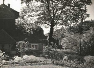 Lößnitzhöhen in Radebeul am Spitzhaus