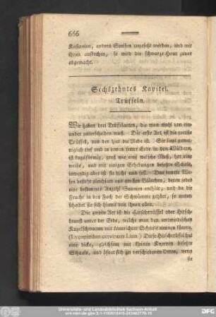 Sechszehntes Kapitel. Trüffeln.