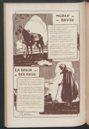 Noble bruto
