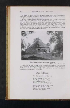 Der Schwan. Von Georg von der Vring.