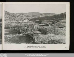 27. Hügelland des Gharb westl. Ouezzane.