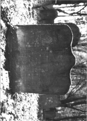 Grabstein 1191 (Index: 99899941) Material: Sandstein Zustand: stark verwittert, etwas eingesunken Maße HxBxT: 83x83x8 cm Beschreibung: Stele mit geschwungenem Schulterbogenabschluss, im Bogenfeld Ranken (Palmzweige?), etwas eingesunken Symbolik: Ranken oder Palmzweige: Grabstein 1191