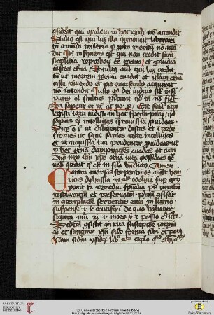 Henricus de Langenstein (excerpta, Verba citata etc.)