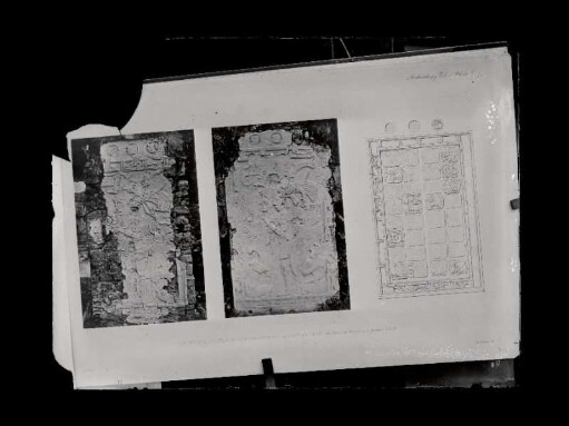 The Palace, House A. - Stucco ornament on the eastern piers. : [Archaeology, Vol. IV., Plate 9]