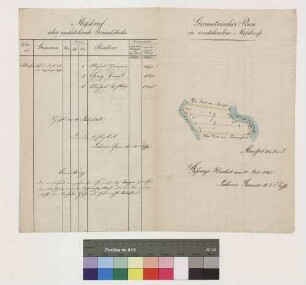 Grundstücke zwischen dem Mühlgraben von der Rosenbacher Mühle und der Mümling in der Nähe des Arnheiter Hofes