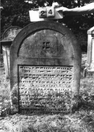 Grabstein 24 (Index: 100110912) Material: Sandstein Zustand: stark verwittert mit geringem Textverlust Maße HxBxT: 111x77x12 cm Beschreibung: Stele, Rundbogenabschluß, Schriftfelder eingetieft: Grabstein 24