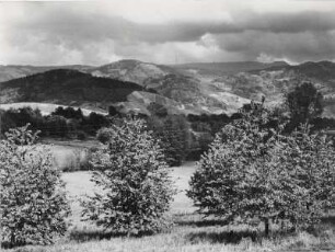 Blick von Achern zum Schwarzwald