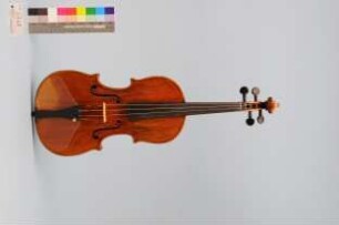 Violine