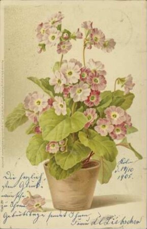 [Blumen]