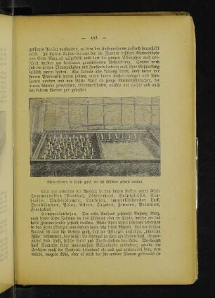 Blumensamen in Töpfe gesät, die ins Mistbeet gestellt werden.
