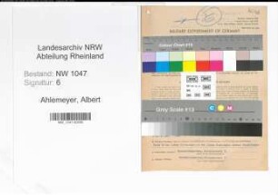 Entnazifizierung Albert Ahlemeyer , geb. 17.03.1908 (Beamter)