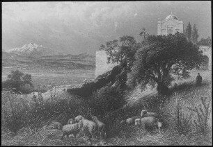 Tabor