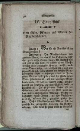 IV. Hauptstück.