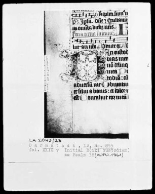 Psalterium und Hymnar (Chorpsalter) — Initiale D, Folio 29verso