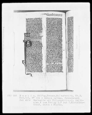 Biblia latina — Initiale P, darin Paulus mit Schwert, Folio 491verso
