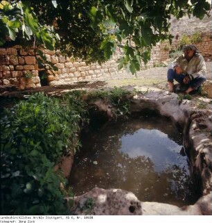 Israel: Karmel