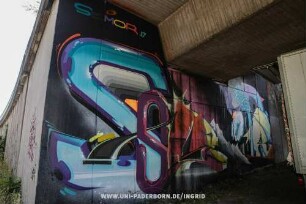 SeMOR