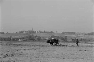 Landwirt bewirtschaftes sein Feld mit seinem Pferdegespann unweit von Storcha. : Ratar wobdźěła polo z pomocu wolaceho zapřaha blisko Baćonja.