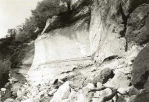Sächsische Schweiz. Felssturz am Papststein am 17.01.1972. Abrißnische, Schuttkegel und Forstschäden an der Südseite oberhalb Papstdorf
