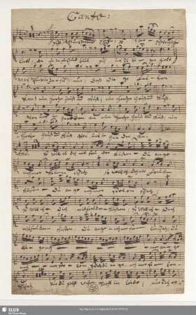 Canto: [transp.]