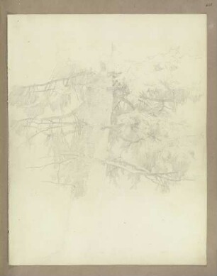 Klebebände, Band 3, Abteilung 1, Seite 63