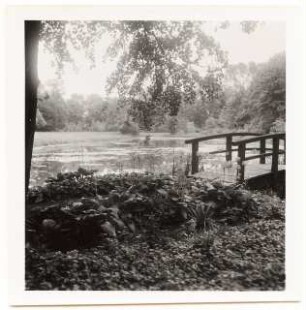 Garten Dr. Schraube, Pritzwalk: Brücke