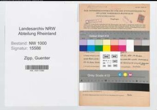 Entnazifizierung Guenter Zipp, geb. 16.11.1913 (Ingenieur)