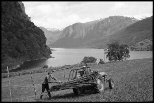 Flåm: Steckenauslegen für die Heuerne , Hintergrund Fjord