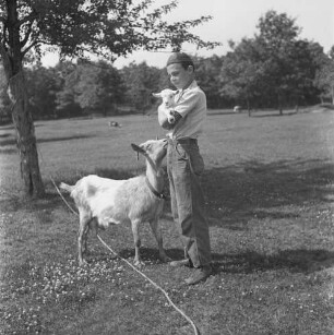 Long Island, Triangle Farm, Junge mit Zicklein und Ziege