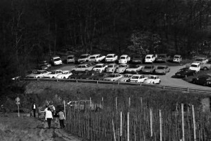 "Eck": Wald Parkplatz am "Eck", von oben