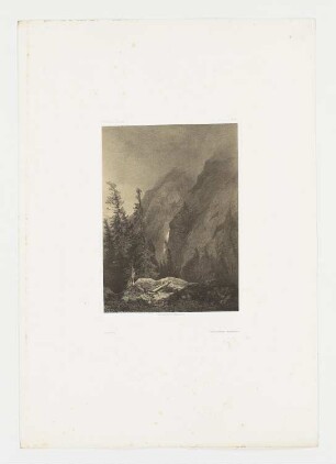 Berglandschaft mit Tannen, Blatt 86 der Folge "Werke"