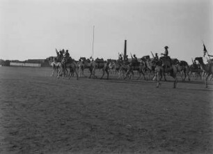 Soldaten : Soldaten unterwegs auf Kamelen