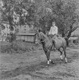 Reiter Strehla : Strehla. Pferd mit Reiter