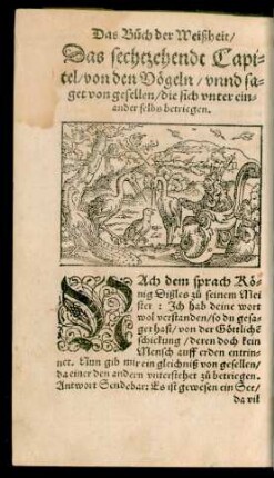 Das sechtzehendt Capitel/ von den Vögeln/ unnd saget von gesellen/ die sich unter einander selbs betriegen.