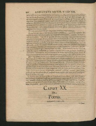 Caput XX. De Poenis.