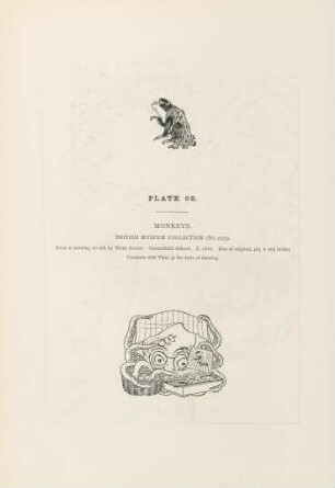 Plate 68. Monkeys