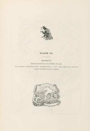 Plate 68. Monkeys