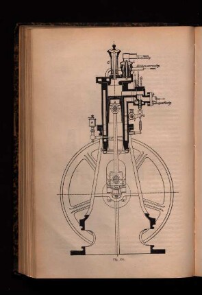 Fig. 100.