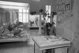 Badische Landesbibliothek. Architektenwettbewerb um den Neubau in der Erbprinzenstraße 15