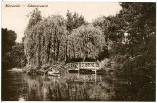 Mittweida. Schwanenteich