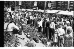 Kleinbildnegative: Berliner Frühjahrs- und Blumenmarkt, 1984