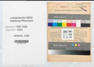 Entnazifizierung Julia Jentsch, geb. 12.12.1888 ()