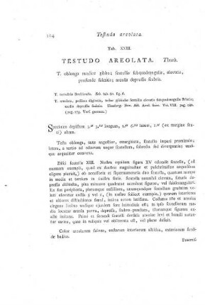 Tab. XXIII. Testudo Areolata.