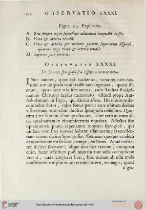 Observatio LXXXI
