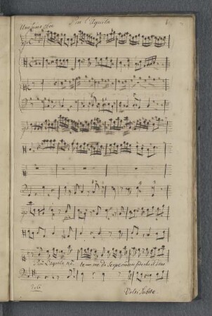 [Anonymus - Più l'aquila non teme - S, orch, bc]