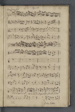 [Anonymus - Più l'aquila non teme - S, orch, bc]
