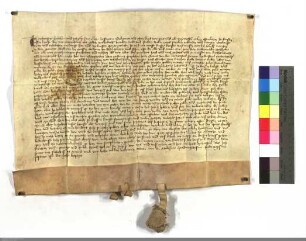 Ambrosius Hobeherr verkauft seine Wiese zu Gross-Selheim, im Hesil gelegen, welche an die alte u. neue Ohm stößt, dem Claus v. Neuenstadt, Pietanz...
